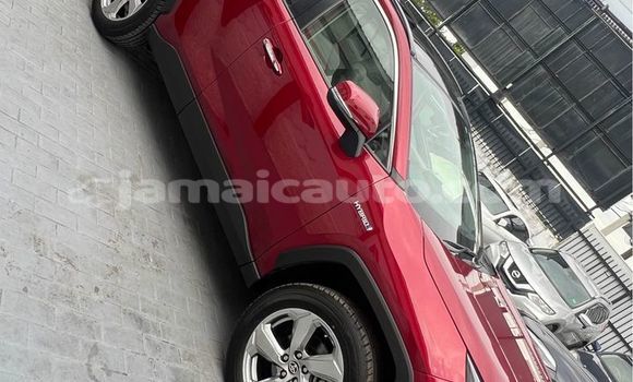 Buy Used Toyota RAV4 Red Car in Mandeville in Manchester Buy Used Toyota RAV4 Red Car in Mandeville in Manchester
