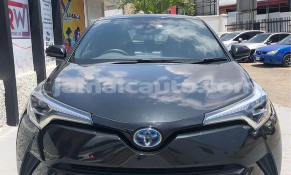 Acheter Occasion Voiture Toyota C-HR Noir à Port Antonio, Portland