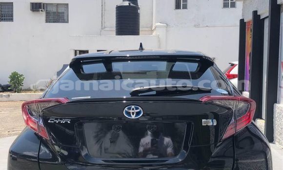 Buy Used Toyota C-HR Black Car in Port Antonio in Portland Buy Used Toyota C-HR Black Car in Port Antonio in Portland