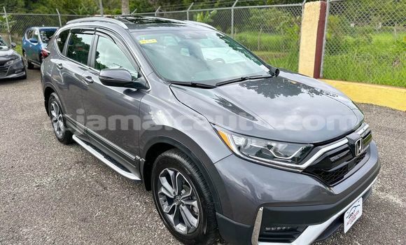 Buy Used Honda CR–V Other Car in Lucea in Hanover Buy Used Honda CR–V Other Car in Lucea in Hanover