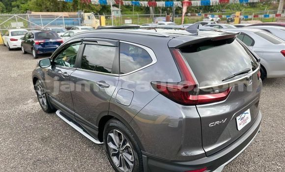 Acheter Occasion Voiture Honda CR–V Autre à Lucea, Hanover Acheter Occasion Voiture Honda CR–V Autre à Lucea, Hanover