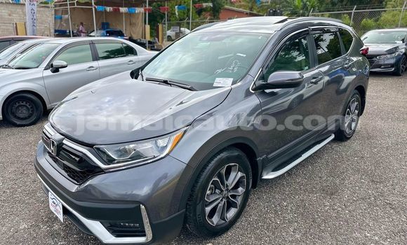 Acheter Occasion Voiture Honda CR–V Autre à Lucea, Hanover Acheter Occasion Voiture Honda CR–V Autre à Lucea, Hanover