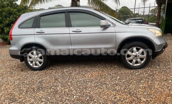 Buy Used Honda CR–V Other Car in Mandeville in Manchester Buy Used Honda CR–V Other Car in Mandeville in Manchester