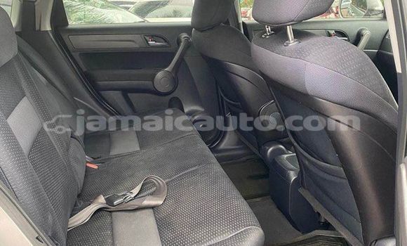 Buy Used Honda CR–V Other Car in Mandeville in Manchester Buy Used Honda CR–V Other Car in Mandeville in Manchester