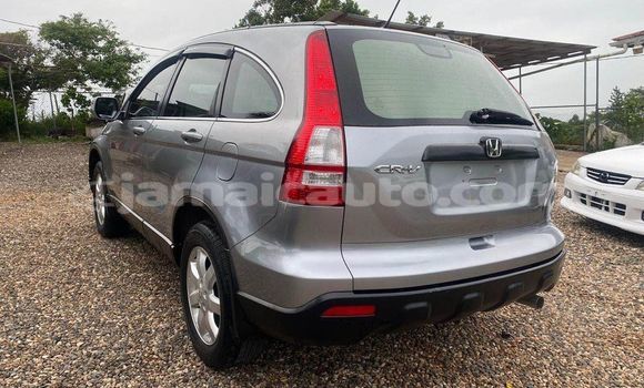 Buy Used Honda CR–V Other Car in Mandeville in Manchester Buy Used Honda CR–V Other Car in Mandeville in Manchester