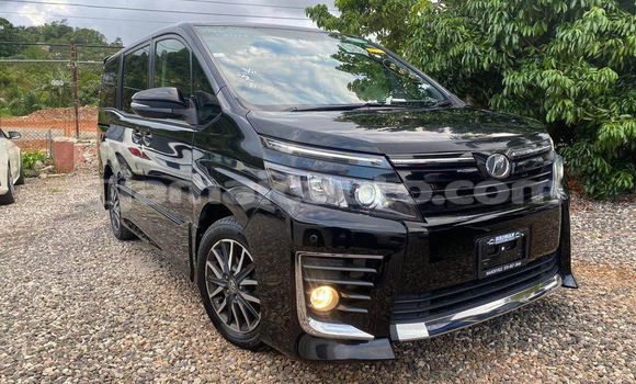Buy Used Toyota Voxy Black Car in Mandeville in Manchester Buy Used Toyota Voxy Black Car in Mandeville in Manchester