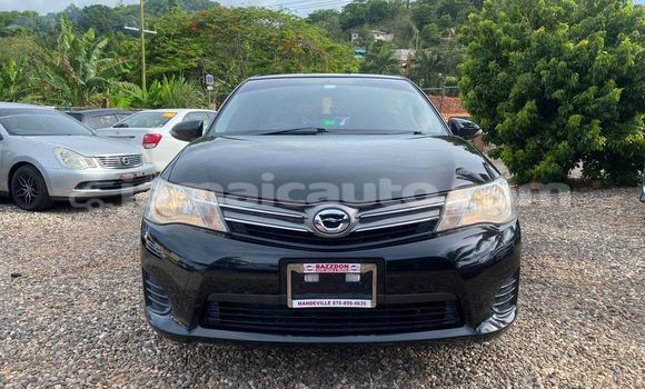 Buy Used Toyota Axio Black Car in Mandeville in Manchester Buy Used Toyota Axio Black Car in Mandeville in Manchester