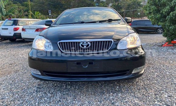 Acheter Occasion Voiture Toyota Corolla Noir à Lucea, Hanover