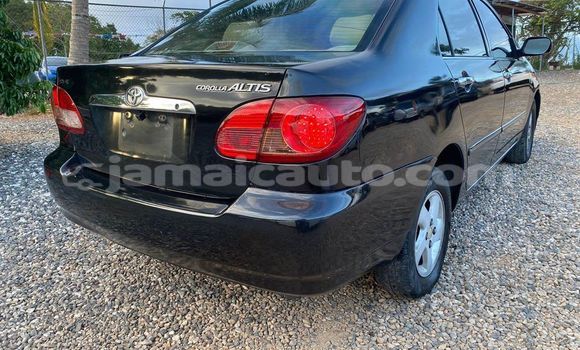Acheter Occasion Voiture Toyota Corolla Noir à Lucea, Hanover Acheter Occasion Voiture Toyota Corolla Noir à Lucea, Hanover