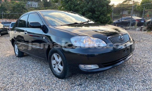 Acheter Occasion Voiture Toyota Corolla Noir à Lucea, Hanover Acheter Occasion Voiture Toyota Corolla Noir à Lucea, Hanover