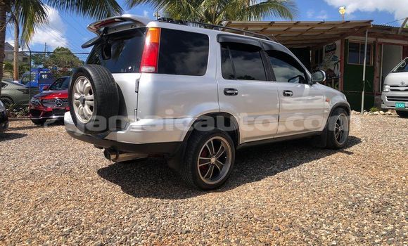 Buy Used Honda CR–V Other Car in Lucea in Hanover Buy Used Honda CR–V Other Car in Lucea in Hanover