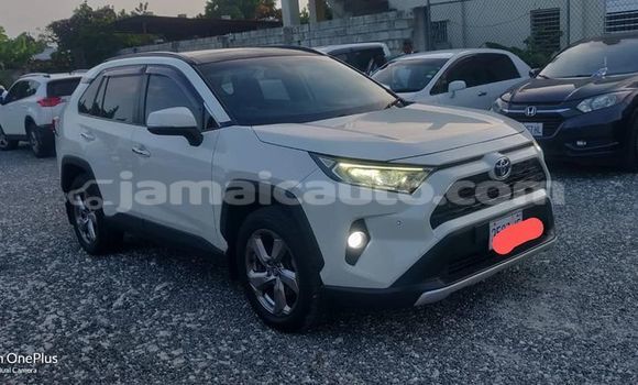 Buy Used Toyota RAV4 White Car in Mandeville in Manchester Buy Used Toyota RAV4 White Car in Mandeville in Manchester
