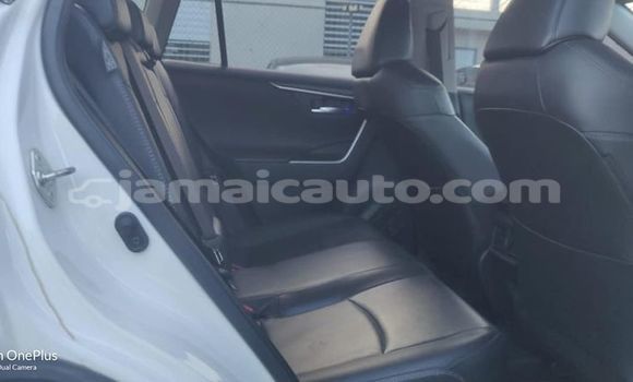 Buy Used Toyota RAV4 White Car in Mandeville in Manchester Buy Used Toyota RAV4 White Car in Mandeville in Manchester