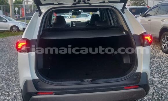 Buy Used Toyota RAV4 White Car in Mandeville in Manchester Buy Used Toyota RAV4 White Car in Mandeville in Manchester