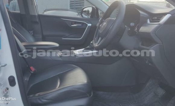 Buy Used Toyota RAV4 White Car in Mandeville in Manchester Buy Used Toyota RAV4 White Car in Mandeville in Manchester