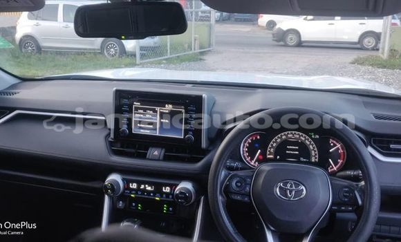Buy Used Toyota RAV4 White Car in Mandeville in Manchester Buy Used Toyota RAV4 White Car in Mandeville in Manchester