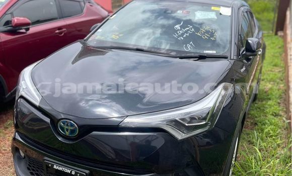 Acheter Occasion Voiture Toyota C-HR Noir à Import - Dubai, Clarendon