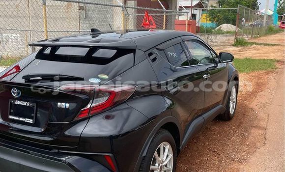 Buy Used Toyota C-HR Black Car in Import - Dubai in Clarendon Buy Used Toyota C-HR Black Car in Import - Dubai in Clarendon