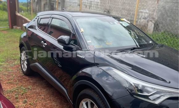 Buy Used Toyota C-HR Black Car in Import - Dubai in Clarendon Buy Used Toyota C-HR Black Car in Import - Dubai in Clarendon
