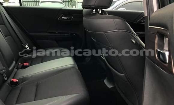 Buy Used Honda Accord Other Car in Kingston in Kingston Buy Used Honda Accord Other Car in Kingston in Kingston