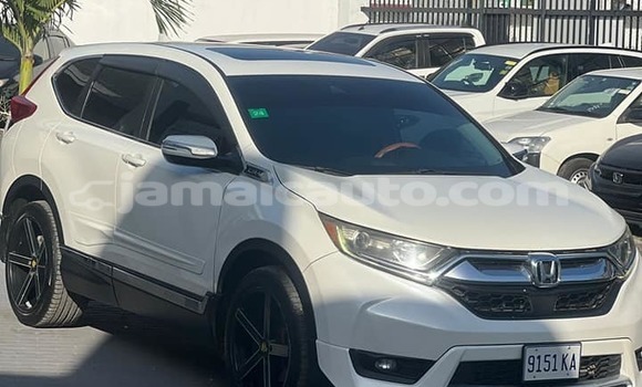 Buy Used Honda CR–V White Car in Kingston in Kingston Buy Used Honda CR–V White Car in Kingston in Kingston