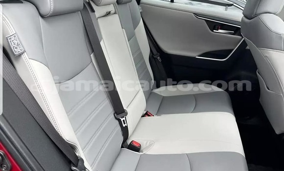 Buy Used Toyota RAV4 Red Car in Kingston in Kingston Buy Used Toyota RAV4 Red Car in Kingston in Kingston