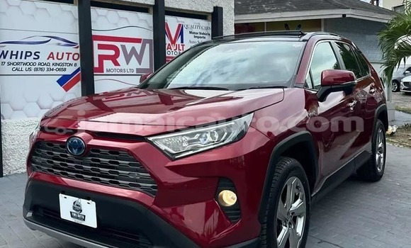 Buy Used Toyota RAV4 Red Car in Kingston in Kingston Buy Used Toyota RAV4 Red Car in Kingston in Kingston