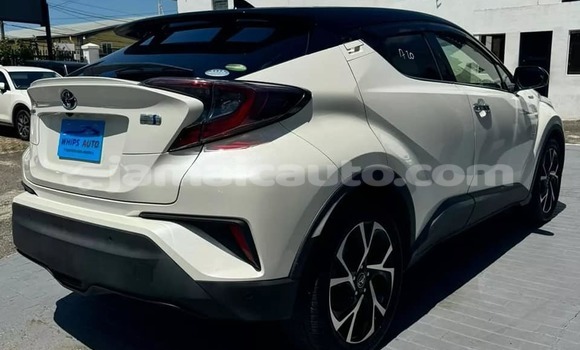 Buy Used Honda CR–V White Car in Kingston in Kingston Buy Used Honda CR–V White Car in Kingston in Kingston