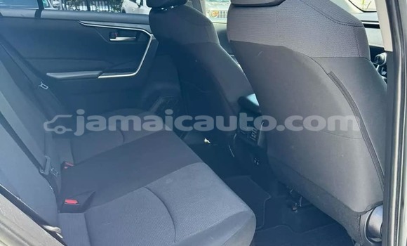 Buy Used Honda CR–V White Car in Kingston in Kingston Buy Used Honda CR–V White Car in Kingston in Kingston