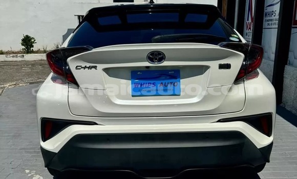 Buy Used Honda CR–V White Car in Kingston in Kingston Buy Used Honda CR–V White Car in Kingston in Kingston