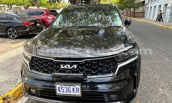 Buy Used Kia Carnival Other Car in Port Antonio in Portland