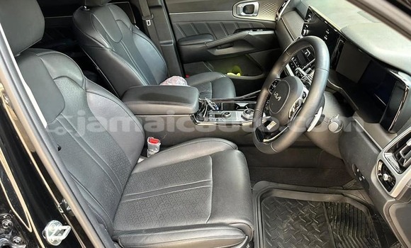 Buy Used Kia Carnival Other Car in Port Antonio in Portland Buy Used Kia Carnival Other Car in Port Antonio in Portland