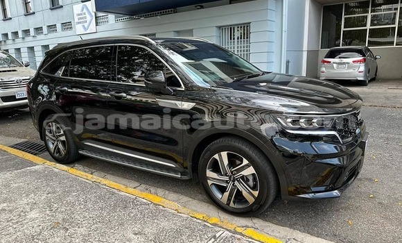 Buy Used Kia Carnival Other Car in Port Antonio in Portland Buy Used Kia Carnival Other Car in Port Antonio in Portland