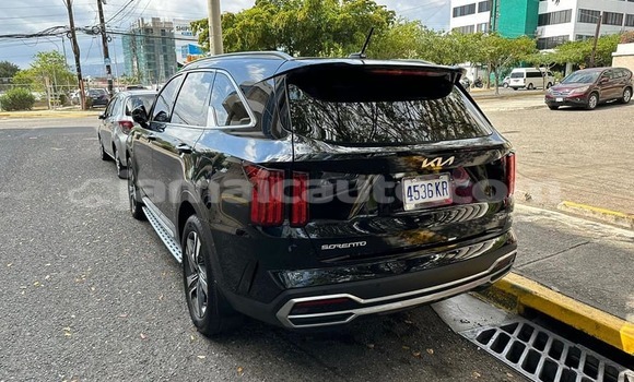 Buy Used Kia Carnival Other Car in Port Antonio in Portland Buy Used Kia Carnival Other Car in Port Antonio in Portland