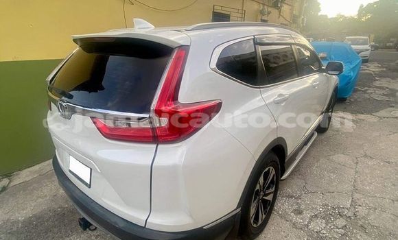 Buy Used Honda CR–V White Car in Lucea in Hanover Buy Used Honda CR–V White Car in Lucea in Hanover