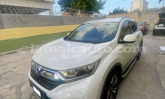 Buy Used Honda CR–V White Car in Lucea in Hanover Buy Used Honda CR–V White Car in Lucea in Hanover