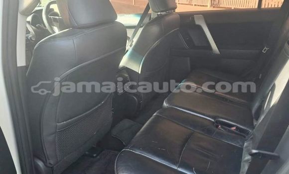 Buy Used Toyota Prado White Car in Lucea in Hanover Buy Used Toyota Prado White Car in Lucea in Hanover