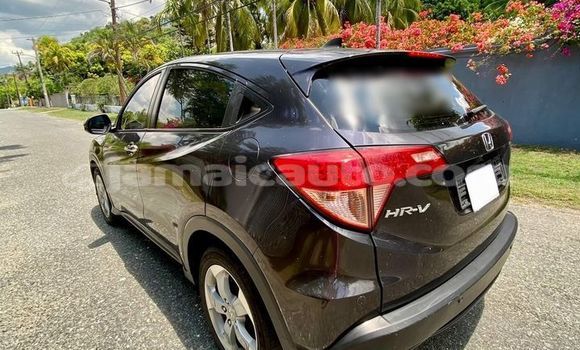 Buy Used Honda Vezel Black Car in Import - Dubai in Clarendon Buy Used Honda Vezel Black Car in Import - Dubai in Clarendon