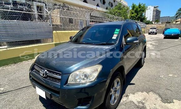 Buy Used Toyota RAV4 Other Car in Port Antonio in Portland Buy Used Toyota RAV4 Other Car in Port Antonio in Portland