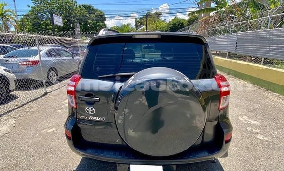 Buy Used Toyota RAV4 Other Car in Port Antonio in Portland Buy Used Toyota RAV4 Other Car in Port Antonio in Portland