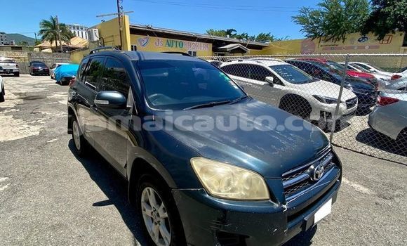 Buy Used Toyota RAV4 Other Car in Port Antonio in Portland Buy Used Toyota RAV4 Other Car in Port Antonio in Portland