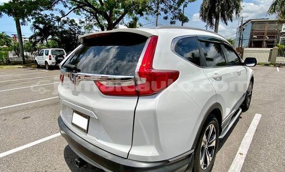 Buy Used Honda CR–V White Car in May Pen in Clarendon Buy Used Honda CR–V White Car in May Pen in Clarendon