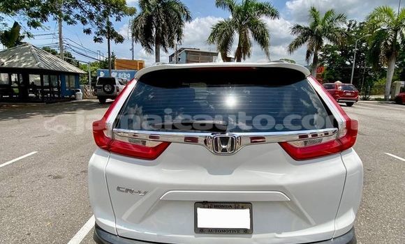 Buy Used Honda CR–V White Car in May Pen in Clarendon Buy Used Honda CR–V White Car in May Pen in Clarendon
