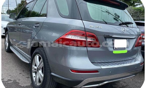 Buy Used Mercedes-Benz ML–Class Other Car in Kingston in Kingston Buy Used Mercedes-Benz ML–Class Other Car in Kingston in Kingston