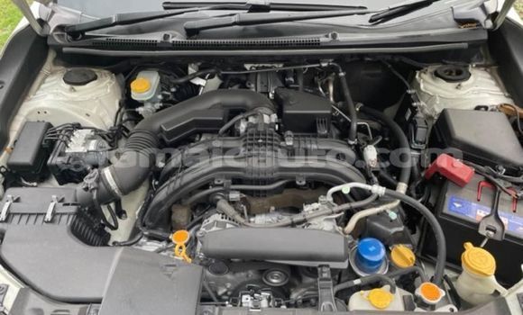 Buy Used Subaru XV White Car in Albert Town in Trelawney Buy Used Subaru XV White Car in Albert Town in Trelawney