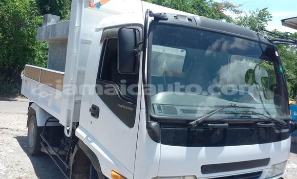 Buy Used Isuzu FTR 850 White Truck in Port Antonio in Portland