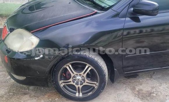 Buy Used Toyota Corolla Other Car in Lucea in Hanover Buy Used Toyota Corolla Other Car in Lucea in Hanover