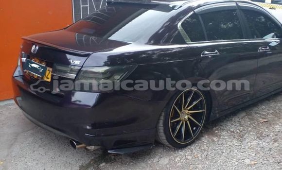 Buy Used Honda Inspire Black Car in Kingston in Kingston Buy Used Honda Inspire Black Car in Kingston in Kingston