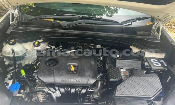 Buy Used Kia Sportage White Car in Falmouth in Trelawney Buy Used Kia Sportage White Car in Falmouth in Trelawney