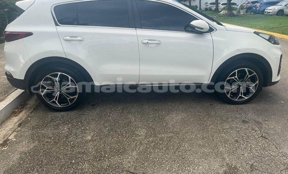 Buy Used Kia Sportage White Car in Falmouth in Trelawney Buy Used Kia Sportage White Car in Falmouth in Trelawney